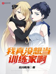(综漫同人)我真没想当训练家啊